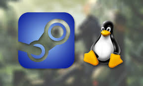 Pagina de juegos divertidos en: Steam Play Ya Permite Jugar A Juegos De Windows En Linux De Manera Nativa La Beta Se