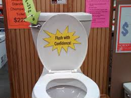 Toilet Flush Ratings Explained See What Map Toilet Testing