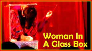 Video i 4k og hd klar til næsten enhver nle nu. Woman That Folds Herself Into A Glass Box And Other Insane Contortion Youtube