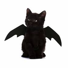 The Internet S Best Pet Halloween Costumes To Make And Buy Pet Halloween Costumes Cat Halloween Costume Halloween Animals