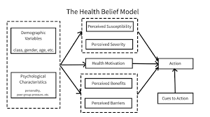 health belief model wikipedia