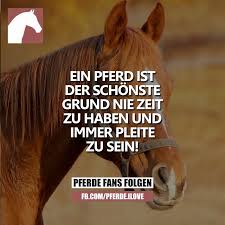 Pferde Spruche Facebook
