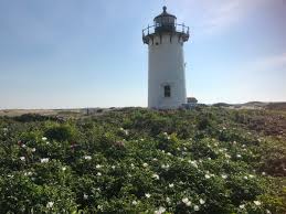The grounds are open all year, and the keeper's house and whistle house are available for overnight stays from spring through fall. Race Point Light Racepointlight Twitter