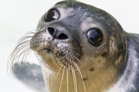 Pin On Baby Products