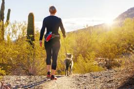 Puppy transporters based in the pacific us. Dog Transportation Services Dog Shipping Tlc Pet Transport Inc