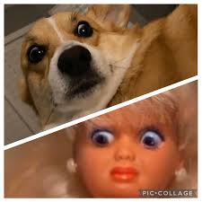 What is the name of the female dog trainer that usually trains in the old  Hastings parking lot?