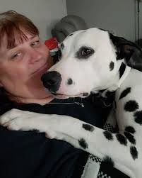 Can you make Ms. Evie into a Christmas pic? I am not good at this stuff!  Thank you for helping