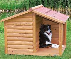 Trova immagini stock hd a tema casetta per cani in legno e milioni di altre foto, illustrazioni e contenuti vettoriali stock royalty free nella vasta raccolta di shutterstock. Cucce Per Cani Grandi Esterno Taglia Xl Pinodog