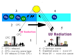 Whereas severe ozone loss happens every winter and spring in the south, this is not the case in the north. Ozone Depletion Read Earth Science Ck 12 Foundation