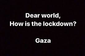 While comedians are doing their bit, it's the internet memes that are really coming into their own right we start off with dogs, because commentary for two very good dogs locked in a calm but highly. Dear World How Is The Lockdown Ask Kashmir And Gaza Through Memes Mondoweiss