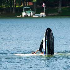 Dylan Tenfel (@where_to_dilly) • Instagram photos and videos