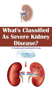 Pin On Kidney Disease Stages