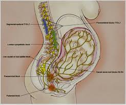 Image result for Non-Pharmacologic Pain Control in Labor