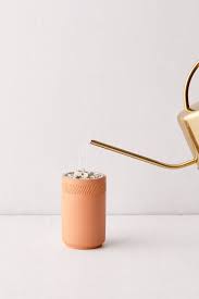 Whether you're just starting on your plant journey, or you need to refresh some of your tools, there's something for everyone. Urban Outfitters On Twitter Grow Your Own The Modern Sprout Terracotta Grow Kit Is Now Available In Healing Aloe Prickly Pear Cactus And Desert Rose Bonsai Https T Co Oag580cv8t Https T Co Jcas66sbev
