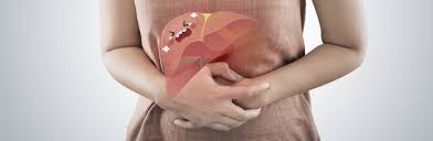 Ficatul este un organ multifunctional: Cancer Pancreas Din Ce Motive Este Atat De Periculos