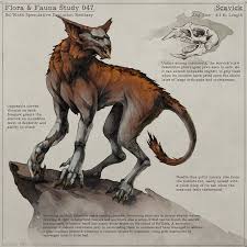 Image result for Malaxis schliebenii