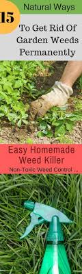 Learn how to get rid of unwanted vegetation once and for all. Sprays Weeds