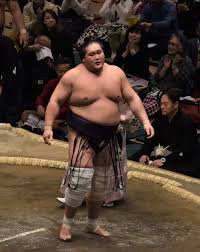 åä¸¡ã®ç…§ãƒŽå¯Œå£«ãŒå‹ã¡è¶Šã— é–¢å–ã¨ã—ã¦16å ´æ‰€ã¶ã‚Š å¤§ç›¸æ'²åˆå ´æ‰€ æ¯Žæ—¥æ–°èž