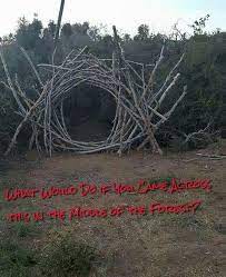 Halloween Maze Haunted Woods Haunted Trail Ideas