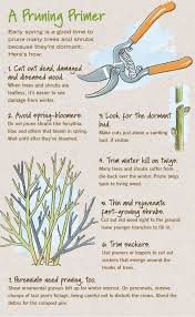 It S Pruning Season Start Sharp Shrubs Trees And Shrubs Prune