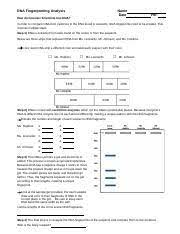 Analyzing a dna sequence chromatogram. Dna Fingerprinting Analysis Worksheets 2011 Edited Jl Docx Dna Fingerprinting Analysis Name Date How Do Forensic Scientists Test Dna Per In Order To Course Hero