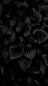 Floral seamless pattern flower rose black background. Black Flowers Wallpaper Wallpaper Sun