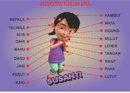 Gambar Alat Peraga Pengenalan Anggota Tubuh Manusia Untuk Tk Paud Smadgreen