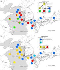 Image result for Suaeda sp. B