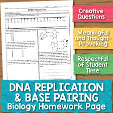 Dna is a polymer, which means that is made up of many repeating single units (monomers). Dna Replication And Base Pairing Biology Homework Worksheet Tpt