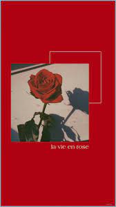 Please contact us if you want to publish a red aesthetic wallpaper on our site. Red Aesthetic Wallpaper Red Roses Wallpaper Red Aesthetic Aesthetic Red Wallpaper Neat