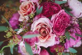 Check spelling or type a new query. Tara Bella Flowers