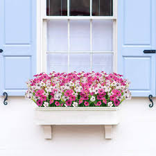 Red white and blue flowers for window boxes. Buy Macting Outdoor Artificial Flowers 6 Bundles Mixed Flowers No Fade Plastic Plants For Garden Porch Window Box Decoration 3pcs Rose Red 3pcs White Online In Turkey B08zhqb15m