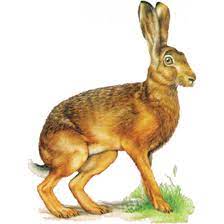 #κασιδιαρησ #λαγοσ #ηλιοπουλοσ #μπιλλη #κωνσταντινου #καραμητρακησ #σιδηροπουλοσ και αλλοι το το παιζατε μεγαλοπυρηναρχεσ που μιλουσατε δηθεν. Lagos Megalos