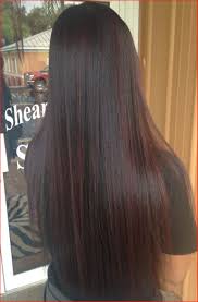 There's no denying that brunettes and ladies with black hair will look gorgeous once have had their hair dyed in burgundy. Awesome Red And Black Hair Color Images Of Hair Color Trends 2020 66705 Hair Color Ideas