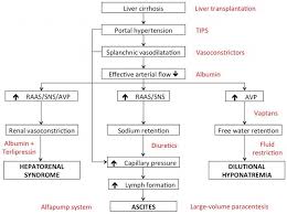 Maybe you would like to learn more about one of these? Ascites Treatment Complications And Prognosis Intechopen