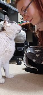 My heart is broken. I was there when Freja was born. I was with her when  she died pressing my head against hers as she took her last breath! Thank  you Freja