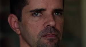 A Sting in the Desert