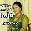 Namun, penting untuk dijadikan cacatan bahwa tidak semua aksara yang terdapat di hanacara terdapat bentuk aksara murdanya. Https Encrypted Tbn0 Gstatic Com Images Q Tbn And9gcqo18bhnrfq 9dg9flj6hwcn04gwaeyoochr26t68q Usqp Cau