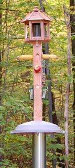 Cedar itself is a great material for a birdhouse because it can last much longer than pine, for example. Build A Bird Feeder Pole Wooden Bird Feeders Bird Feeder Plans Bird Feeders