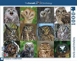 Maybe you would like to learn more about one of these? Buy Owls And Owlets 1000 Piece Jigsaw Puzzle Online With Canadian Pricing Urban Nature Store