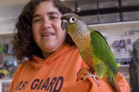 Bird enthusiast flocks to owning stores