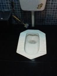 toilets in china potty china trip