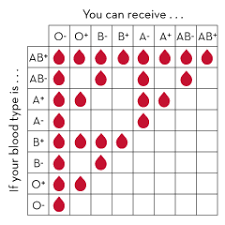 11 Printable Chart Showing Possible Blood Type Of A Child