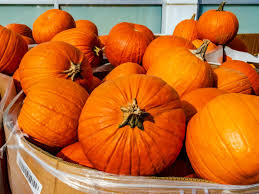 Pumpkins Health Benefits And Nutritional Breakdown