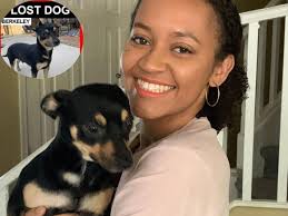 The Bizarre Story Behind The Hunt For A Missing Dog