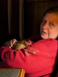 BYC (BackYardChickens)