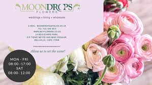 It's a great option if you've never ordered flowers before, as there's a wonderful selection of flowers and plants. Moondrops Flowers Reviews Facebook