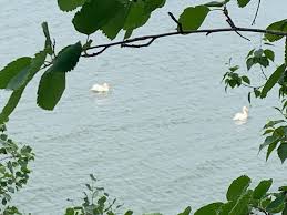 Coal Lake North Provincial Recreation Area