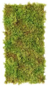 Artificial Moss 50 25