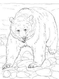 It is well up there on the list of the quickest ever halloween decoration ideas. Realistic Grizzly Bear Coloring Page Free Printable Coloring Pages Bear Coloring Pages Animal Coloring Pages Coloring Pages
